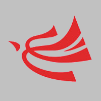 传喜物流 Logo