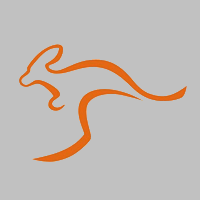 百成大达物流 Logo