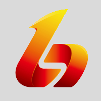 龙邦物流 Logo