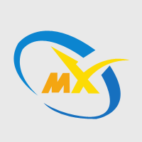 美西快递 Logo