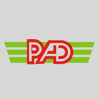 平安达腾飞 Logo